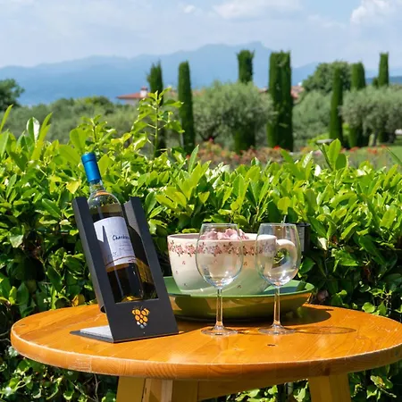 Ausblick Gardasee - Mit Seeblick, Infinity Pool, Garten Und Garage