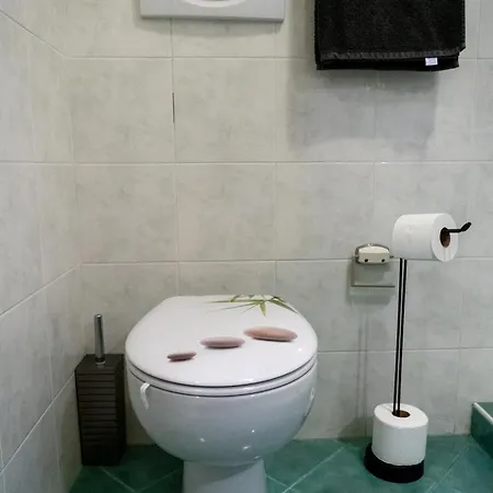 Ausblick Gardasee - Mit Seeblick, Infinity Pool, Garten Und Garage 아파트 라찌제