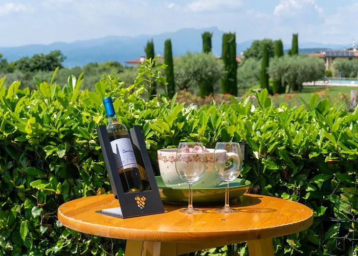 Ausblick Gardasee - Mit Seeblick, Infinity Pool, Garten Und Garage